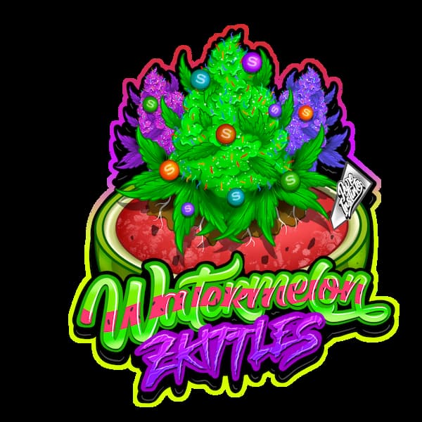 Watermelon Zkittles semilla > Pure Instinto | Semillas feminizadas  |  Índica